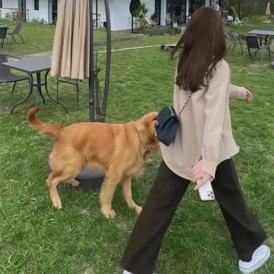 绝代艳后